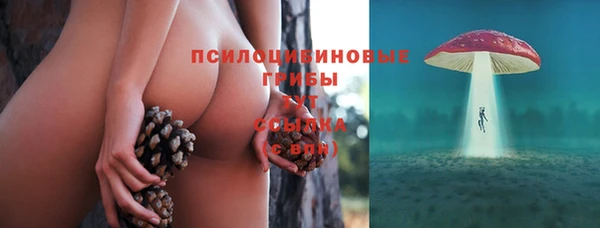 соль ск Заволжье