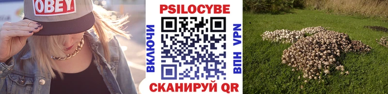 Псилоцибиновые грибы мухоморы  продажа наркотиков  Спасск 