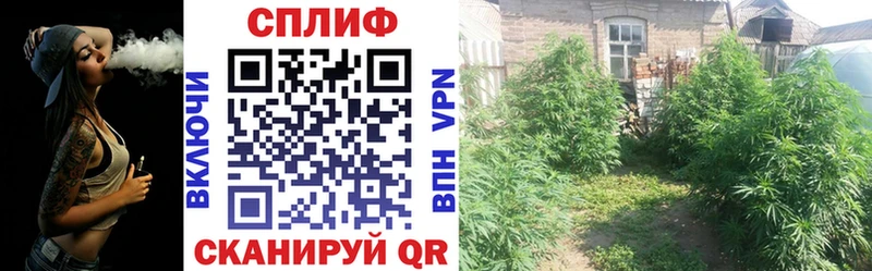 Марихуана THC 21%  Спасск 